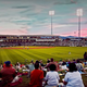 Illustration for article titled 16 Hours in the Cactus League: A Guide to Arizona Between Baseball Games